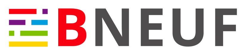 logo bneuf.a208db50